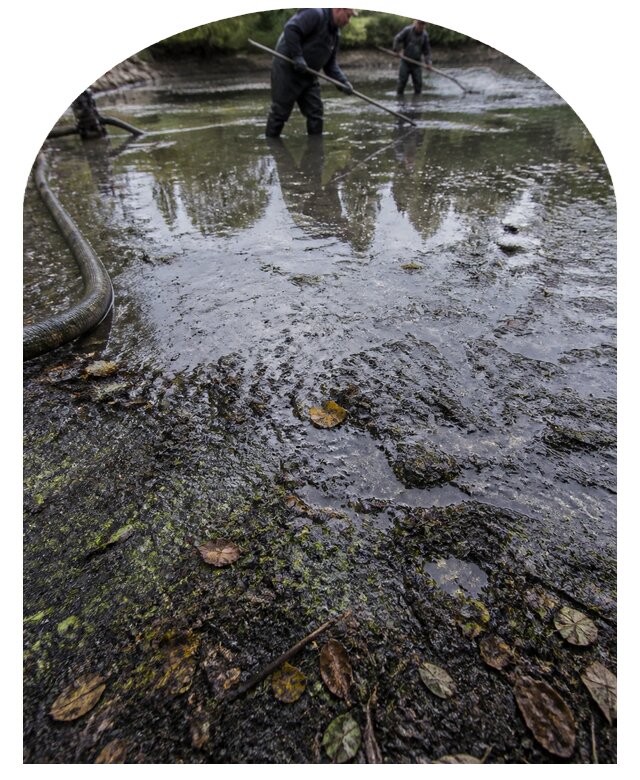 Очистка пруда в Новокубанске от ила мусора и водорослей с вывозом